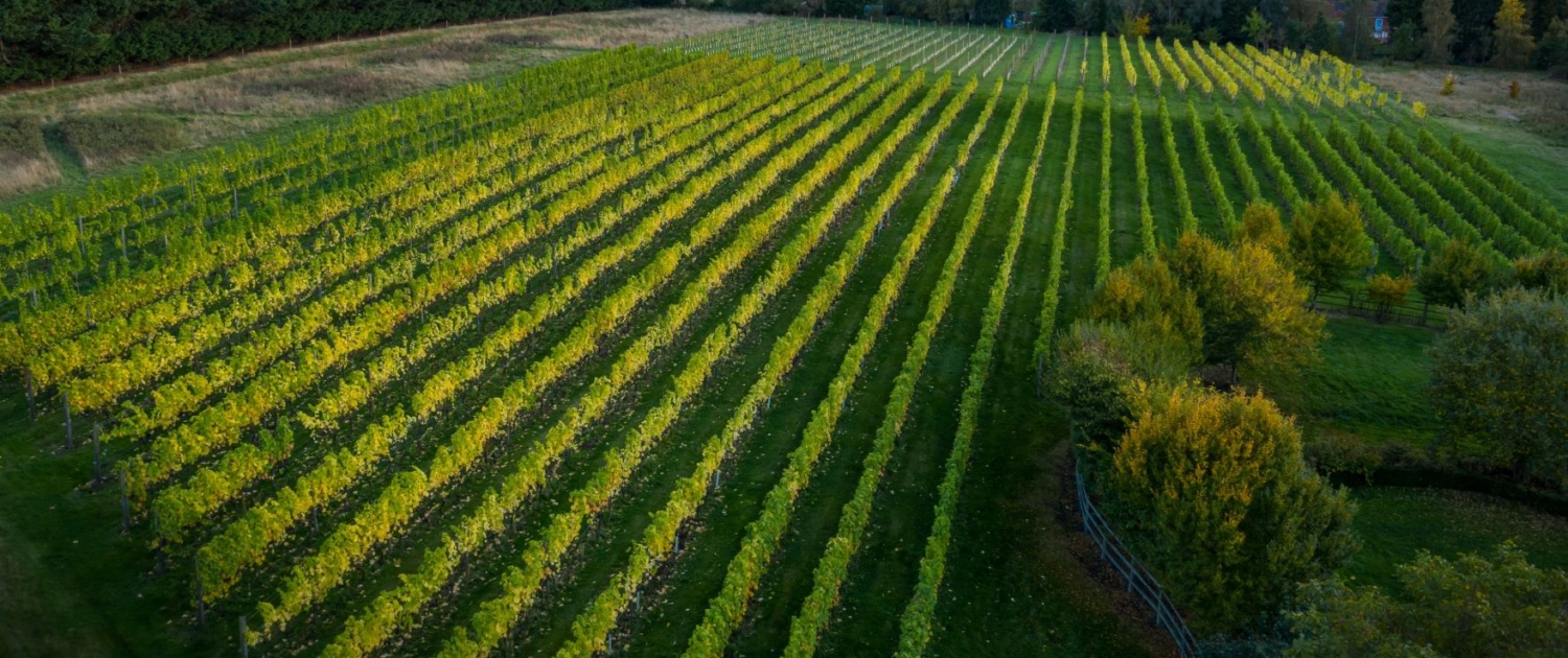 DJI_0140-HDRsmall