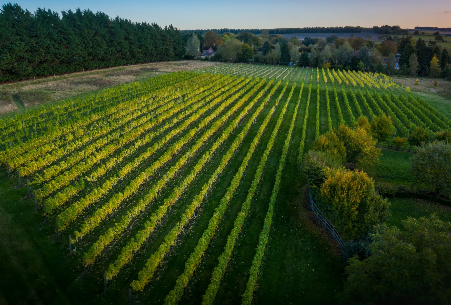 DJI_0140-HDRsmall