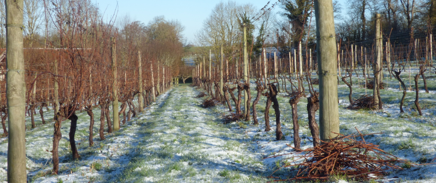 3 pruning